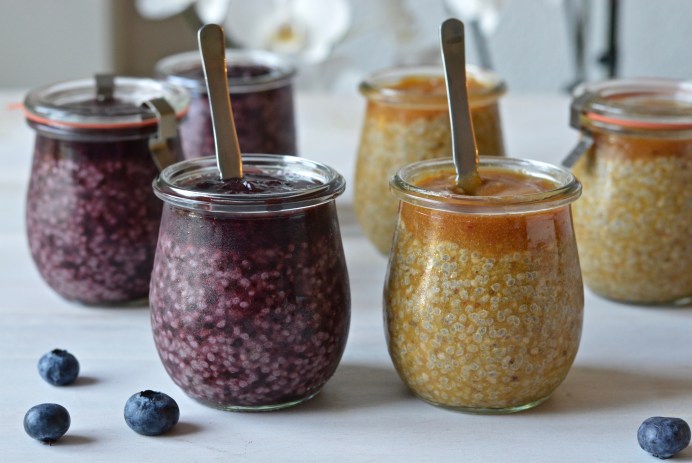 Chia fruit puddings