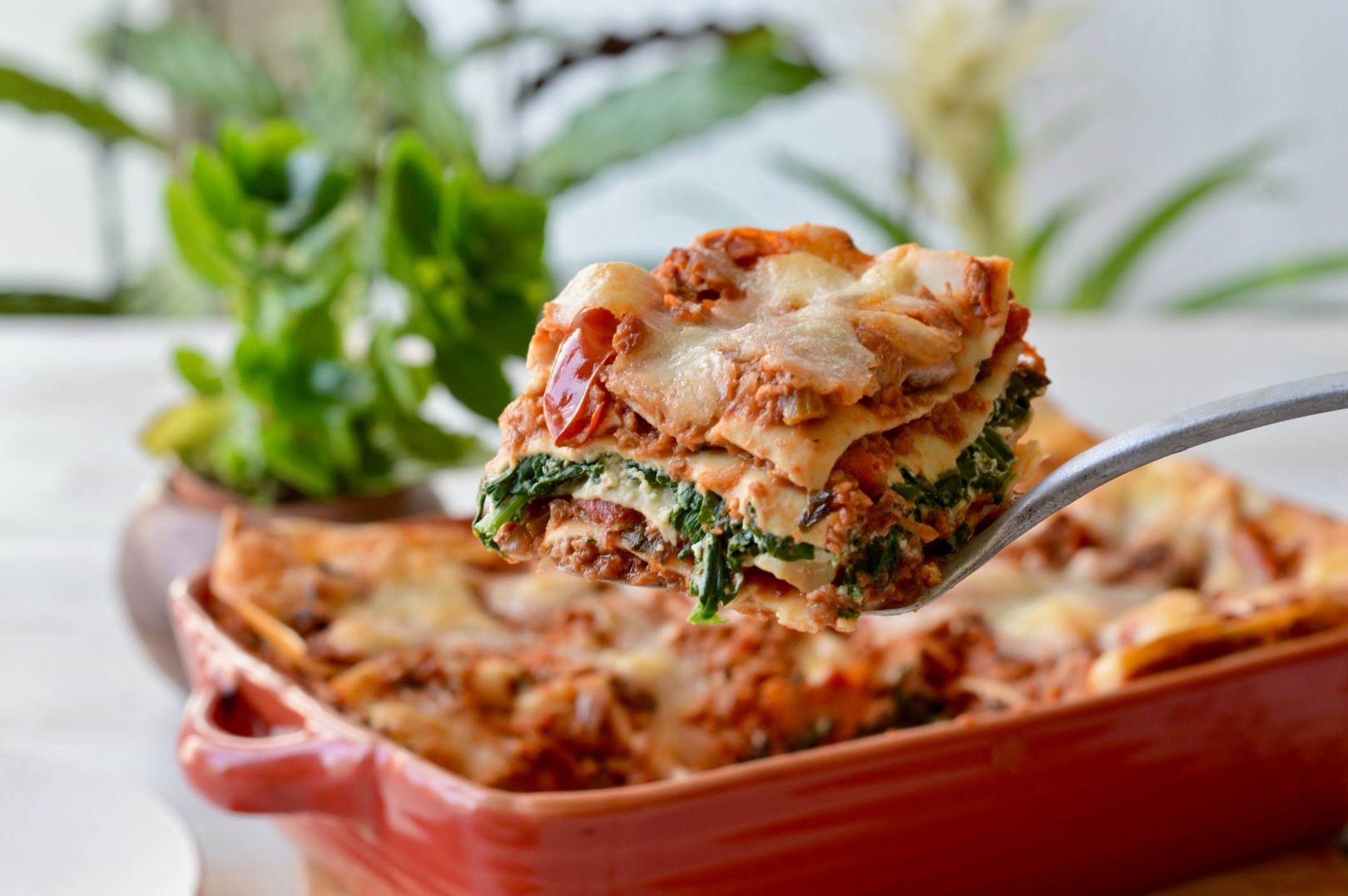 Lasagna Vegetarian or Vegan